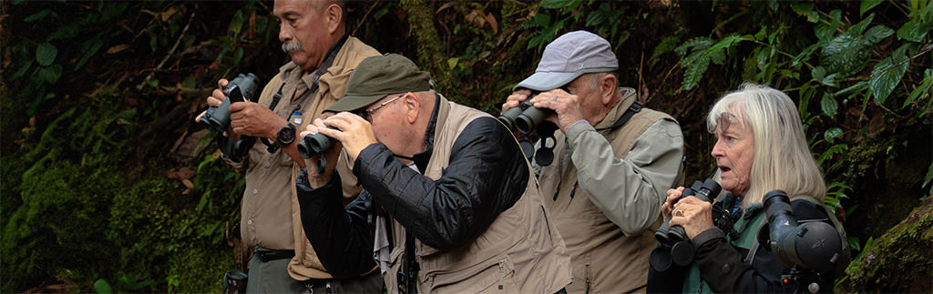 Magic Birding Ecuador birders banner