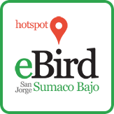 ebird logo sj sumaco
