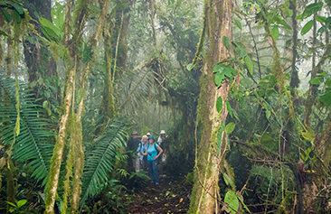 San Jorge Eco lodge Tandayapa Forest 2