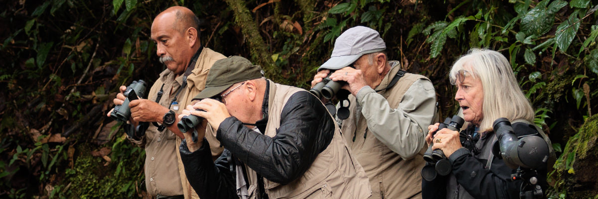 birding tours banner 2