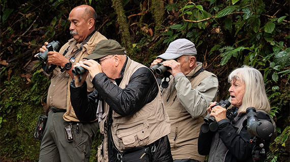 birding tours thumb 2