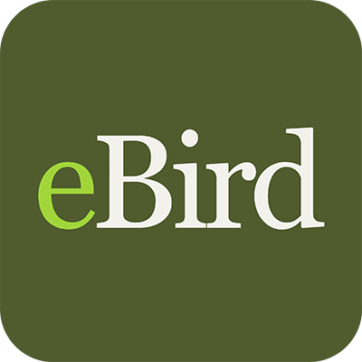 ebird btn global