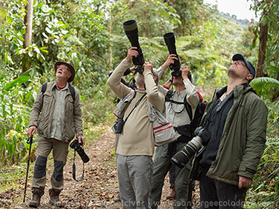 Magic Birding Ecuador Photographers 7