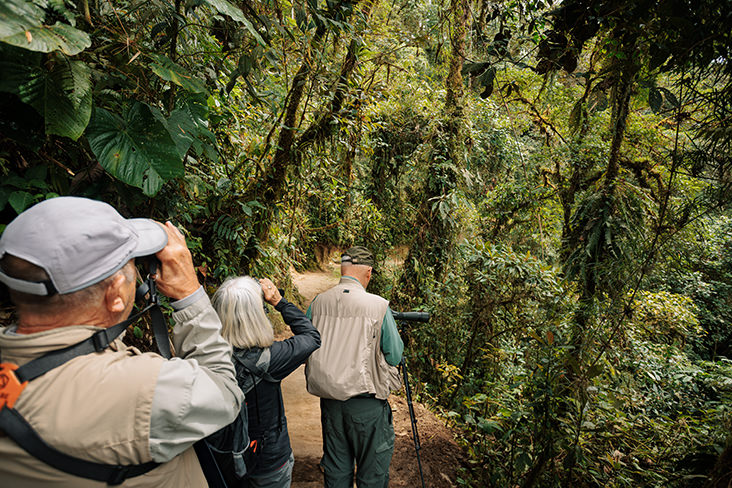 San Jorge Sumaco Bajo trails