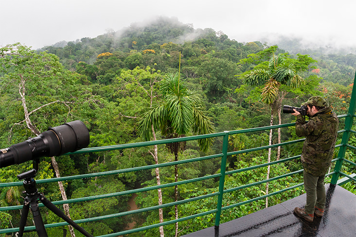 Sumaco Bajo Canopy Tower Amazonia