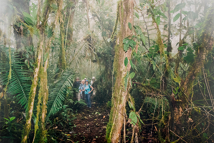 tandayapa cloud forest hike 2