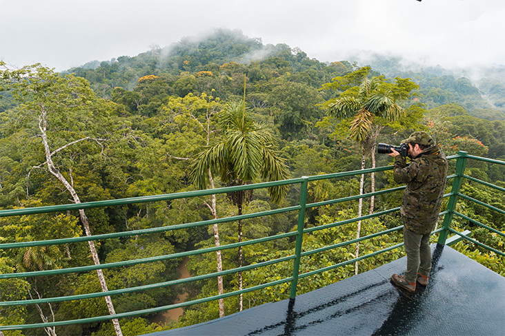 amazon rainforest canopy tower